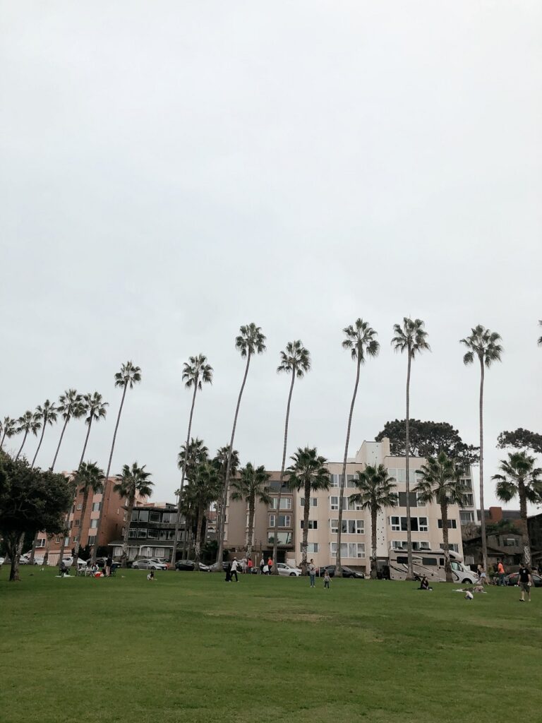 Park with palm trees in La Jolla, CA