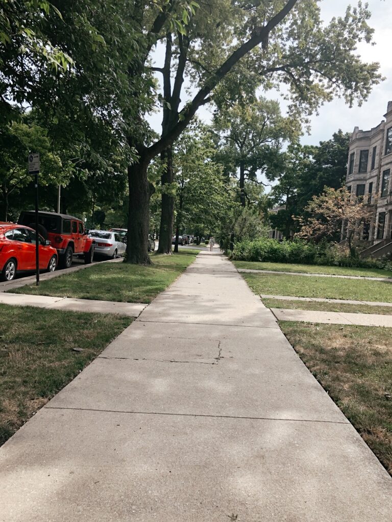 Taking a walk in Logan Square was one of the things I did in 2020